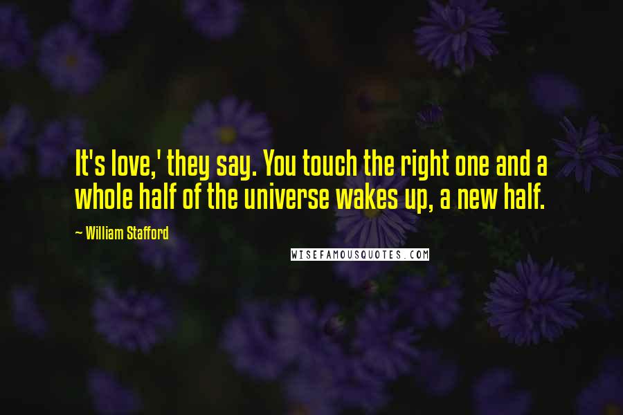 William Stafford Quotes: It's love,' they say. You touch the right one and a whole half of the universe wakes up, a new half.