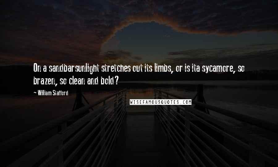 William Stafford Quotes: On a sandbarsunlight stretches out its limbs, or is ita sycamore, so brazen, so clean and bold?