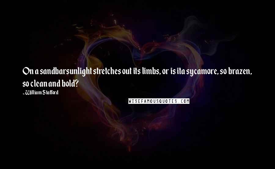 William Stafford Quotes: On a sandbarsunlight stretches out its limbs, or is ita sycamore, so brazen, so clean and bold?