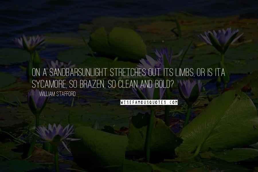 William Stafford Quotes: On a sandbarsunlight stretches out its limbs, or is ita sycamore, so brazen, so clean and bold?