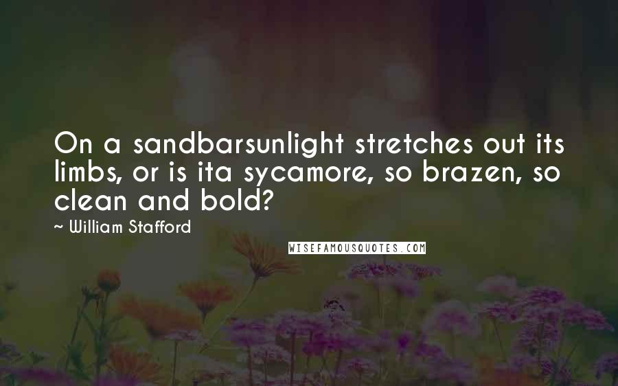 William Stafford Quotes: On a sandbarsunlight stretches out its limbs, or is ita sycamore, so brazen, so clean and bold?