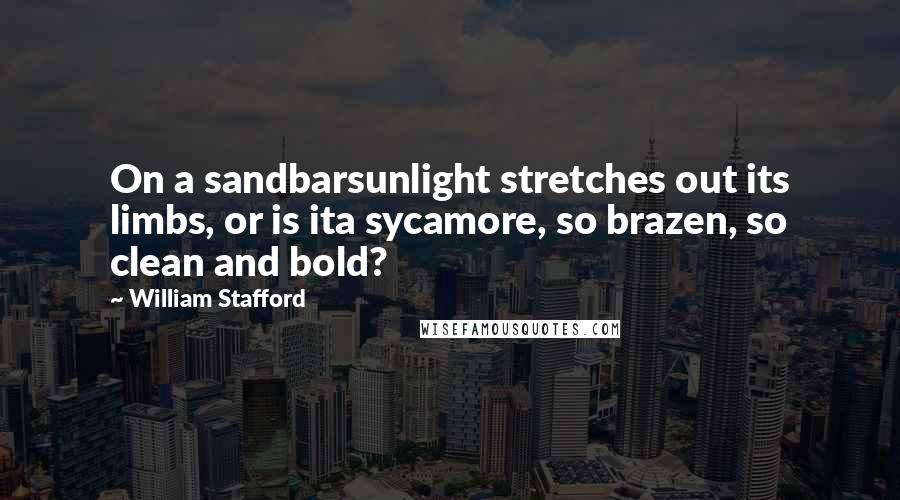 William Stafford Quotes: On a sandbarsunlight stretches out its limbs, or is ita sycamore, so brazen, so clean and bold?