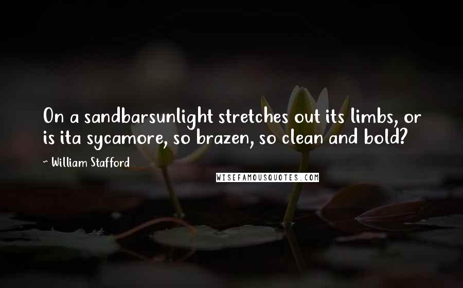 William Stafford Quotes: On a sandbarsunlight stretches out its limbs, or is ita sycamore, so brazen, so clean and bold?