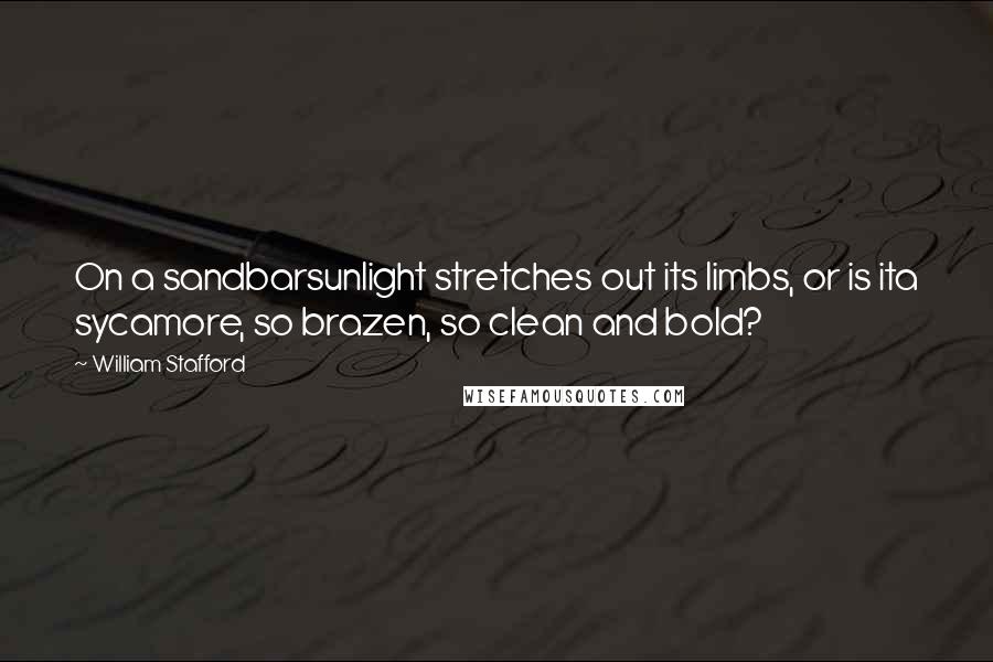 William Stafford Quotes: On a sandbarsunlight stretches out its limbs, or is ita sycamore, so brazen, so clean and bold?