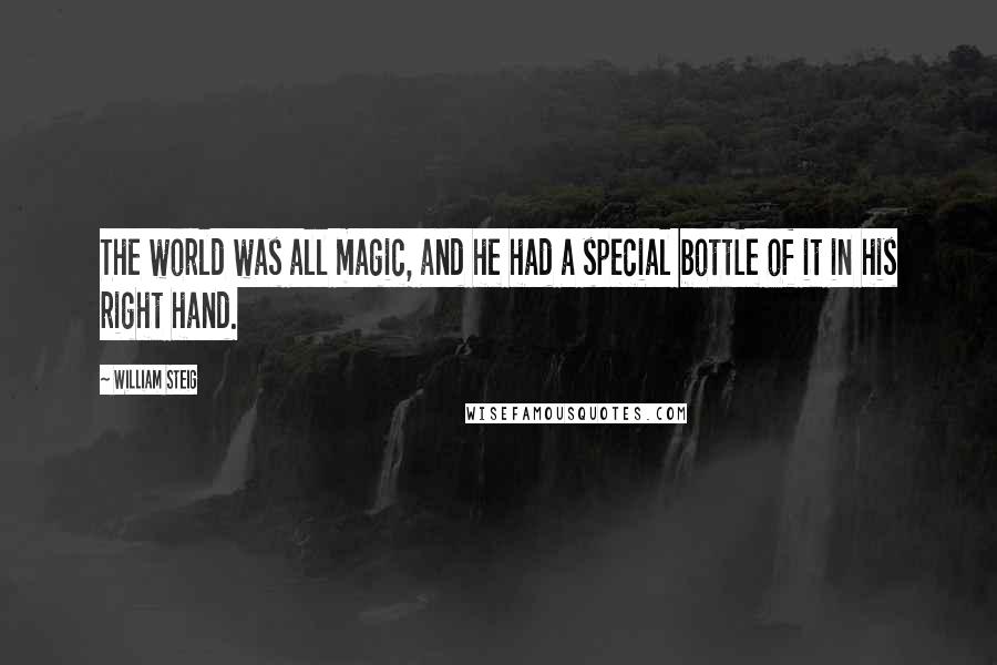 William Steig Quotes: The world was all magic, and he had a special bottle of it in his right hand.