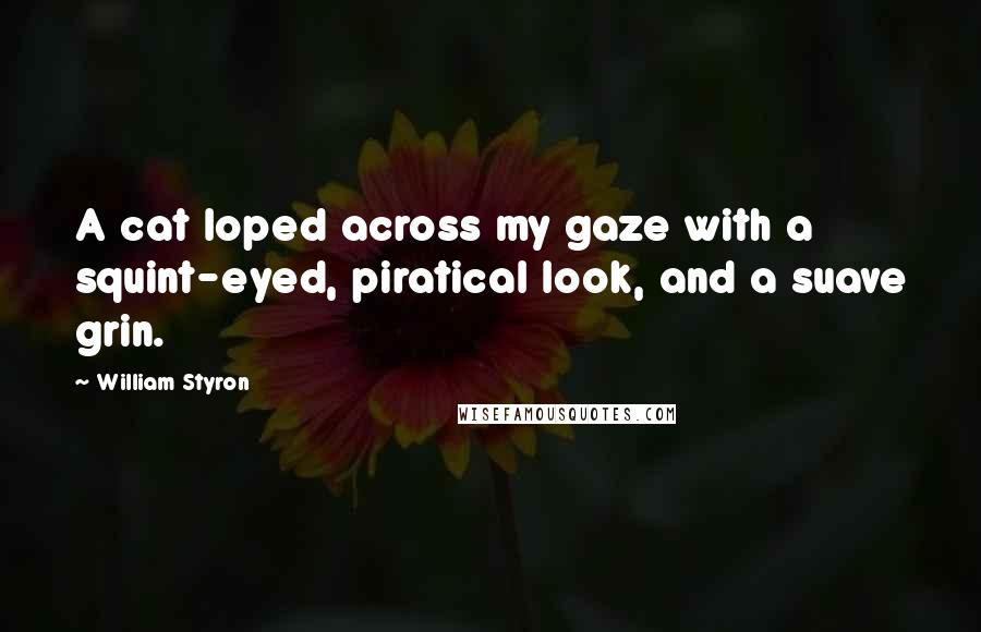 William Styron Quotes: A cat loped across my gaze with a squint-eyed, piratical look, and a suave grin.