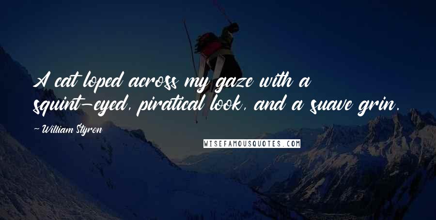 William Styron Quotes: A cat loped across my gaze with a squint-eyed, piratical look, and a suave grin.