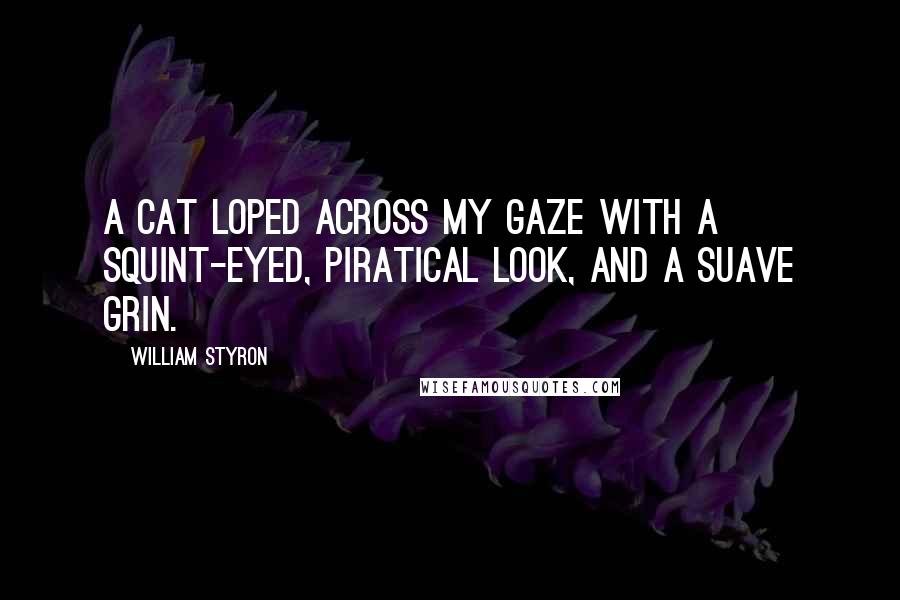 William Styron Quotes: A cat loped across my gaze with a squint-eyed, piratical look, and a suave grin.
