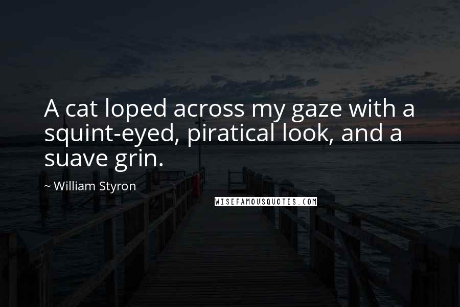 William Styron Quotes: A cat loped across my gaze with a squint-eyed, piratical look, and a suave grin.