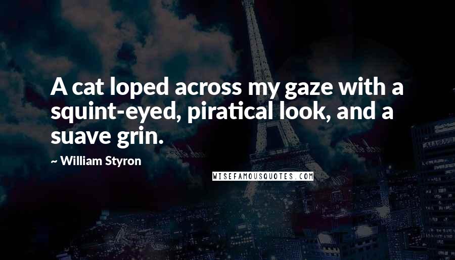 William Styron Quotes: A cat loped across my gaze with a squint-eyed, piratical look, and a suave grin.