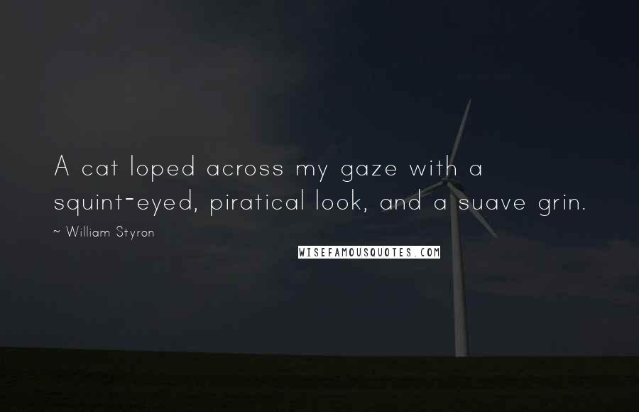 William Styron Quotes: A cat loped across my gaze with a squint-eyed, piratical look, and a suave grin.