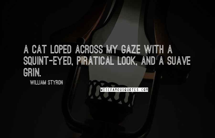 William Styron Quotes: A cat loped across my gaze with a squint-eyed, piratical look, and a suave grin.