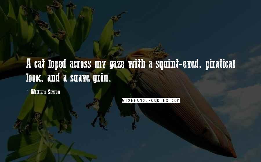 William Styron Quotes: A cat loped across my gaze with a squint-eyed, piratical look, and a suave grin.