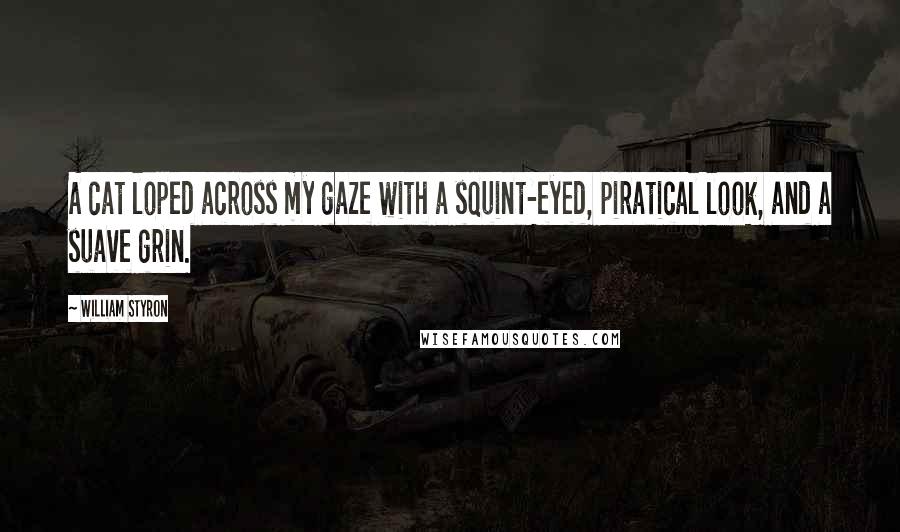 William Styron Quotes: A cat loped across my gaze with a squint-eyed, piratical look, and a suave grin.