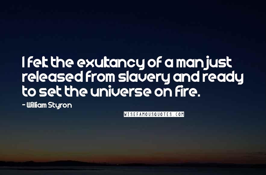 William Styron Quotes: I felt the exultancy of a man just released from slavery and ready to set the universe on fire.