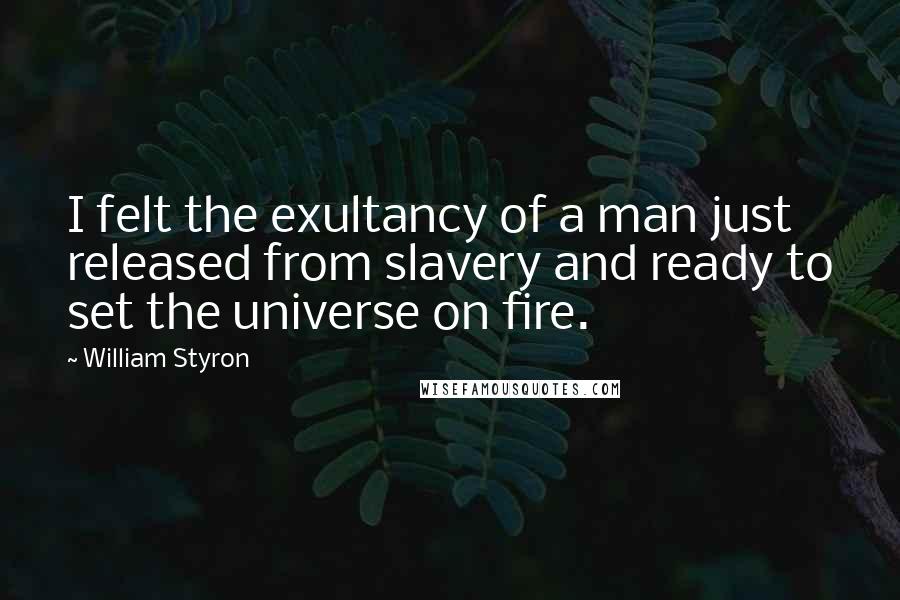 William Styron Quotes: I felt the exultancy of a man just released from slavery and ready to set the universe on fire.