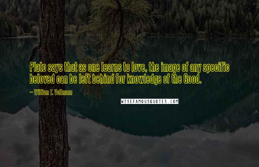 William T. Vollmann Quotes: Plato says that as one learns to love, the image of any specific beloved can be left behind for knowledge of the Good.