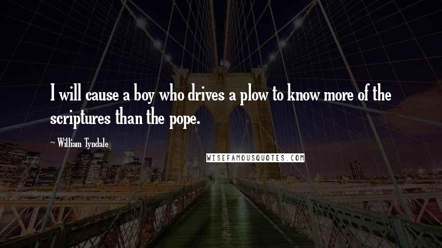 William Tyndale Quotes: I will cause a boy who drives a plow to know more of the scriptures than the pope.