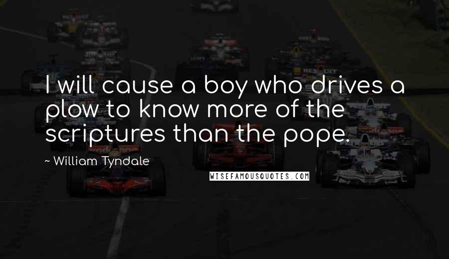 William Tyndale Quotes: I will cause a boy who drives a plow to know more of the scriptures than the pope.