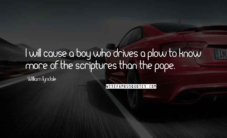 William Tyndale Quotes: I will cause a boy who drives a plow to know more of the scriptures than the pope.