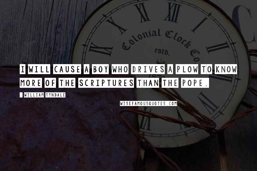 William Tyndale Quotes: I will cause a boy who drives a plow to know more of the scriptures than the pope.