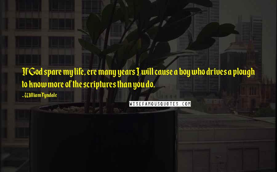 William Tyndale Quotes: If God spare my life, ere many years I will cause a boy who drives a plough to know more of the scriptures than you do.