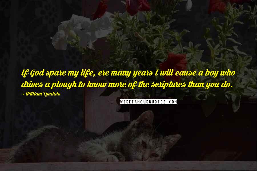 William Tyndale Quotes: If God spare my life, ere many years I will cause a boy who drives a plough to know more of the scriptures than you do.