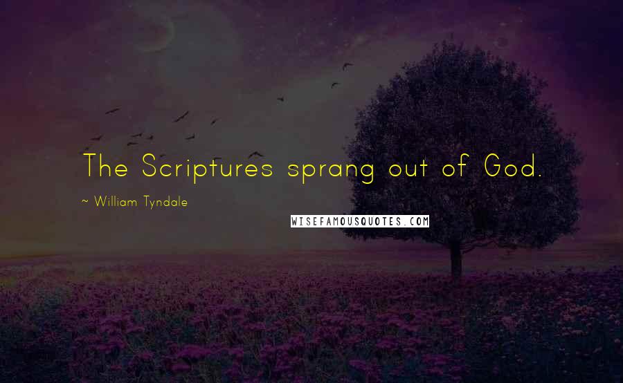 William Tyndale Quotes: The Scriptures sprang out of God.