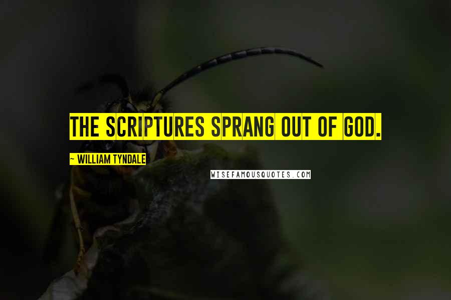 William Tyndale Quotes: The Scriptures sprang out of God.