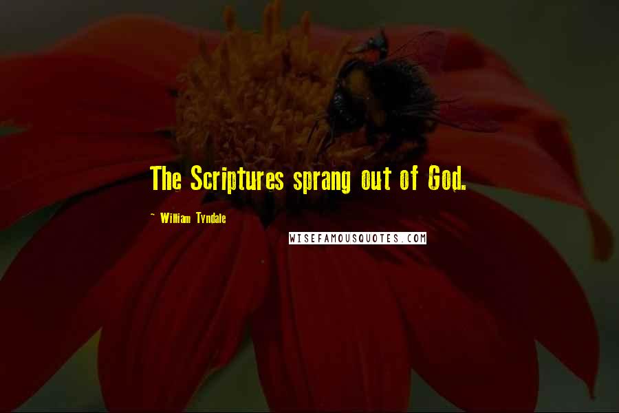 William Tyndale Quotes: The Scriptures sprang out of God.