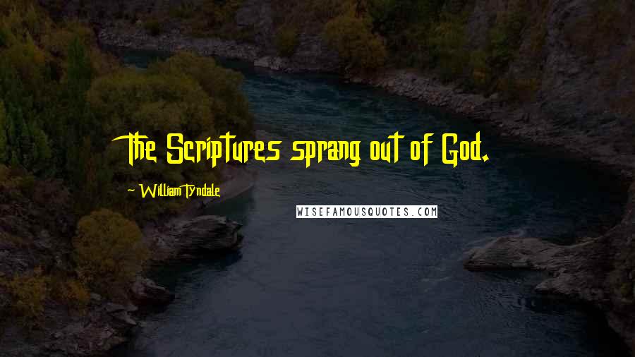 William Tyndale Quotes: The Scriptures sprang out of God.