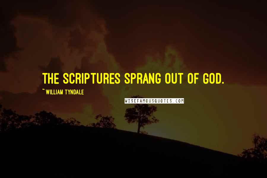 William Tyndale Quotes: The Scriptures sprang out of God.