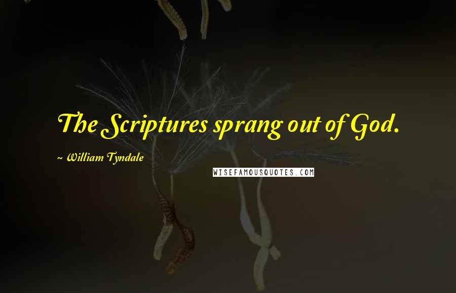 William Tyndale Quotes: The Scriptures sprang out of God.