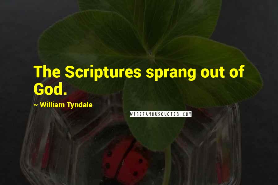 William Tyndale Quotes: The Scriptures sprang out of God.