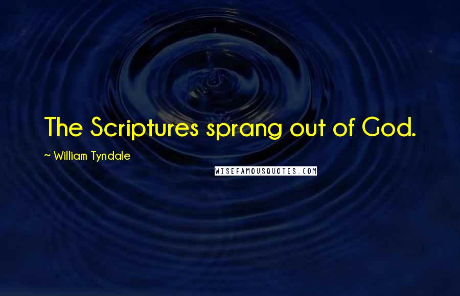 William Tyndale Quotes: The Scriptures sprang out of God.