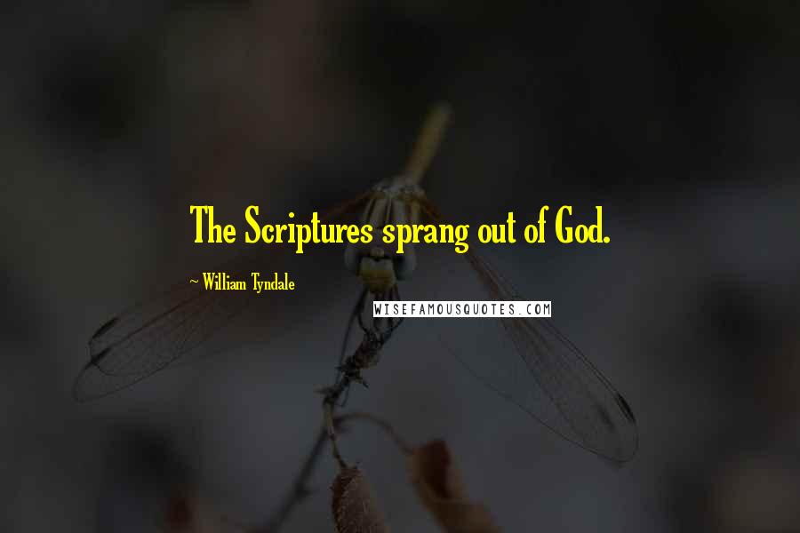 William Tyndale Quotes: The Scriptures sprang out of God.