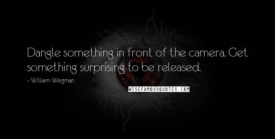 William Wegman Quotes: Dangle something in front of the camera. Get something surprising to be released.