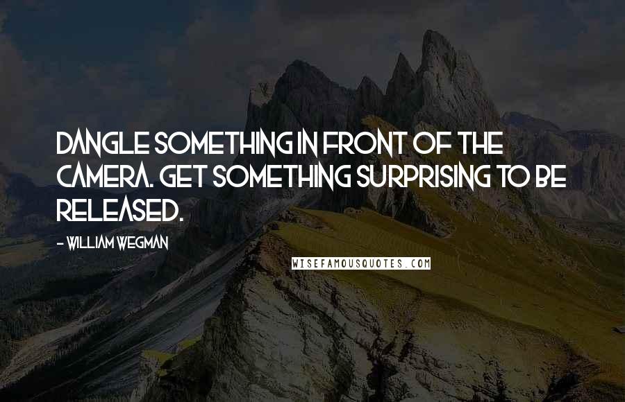 William Wegman Quotes: Dangle something in front of the camera. Get something surprising to be released.