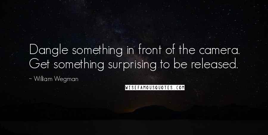 William Wegman Quotes: Dangle something in front of the camera. Get something surprising to be released.