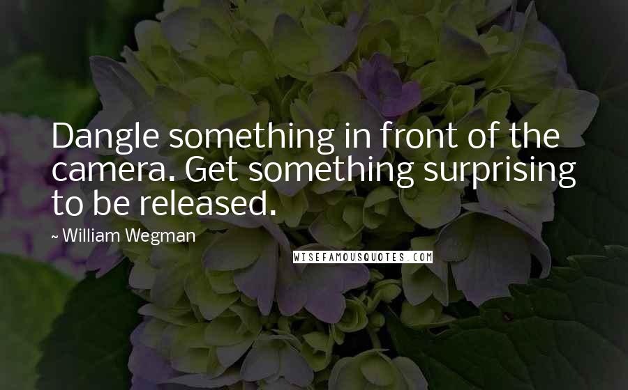 William Wegman Quotes: Dangle something in front of the camera. Get something surprising to be released.