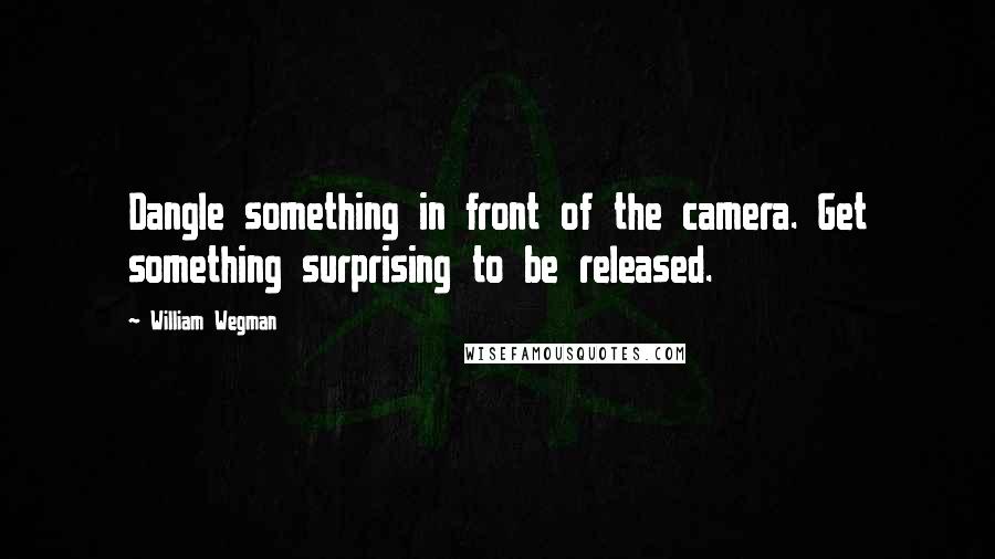 William Wegman Quotes: Dangle something in front of the camera. Get something surprising to be released.