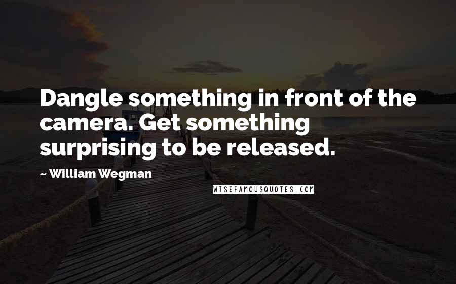 William Wegman Quotes: Dangle something in front of the camera. Get something surprising to be released.