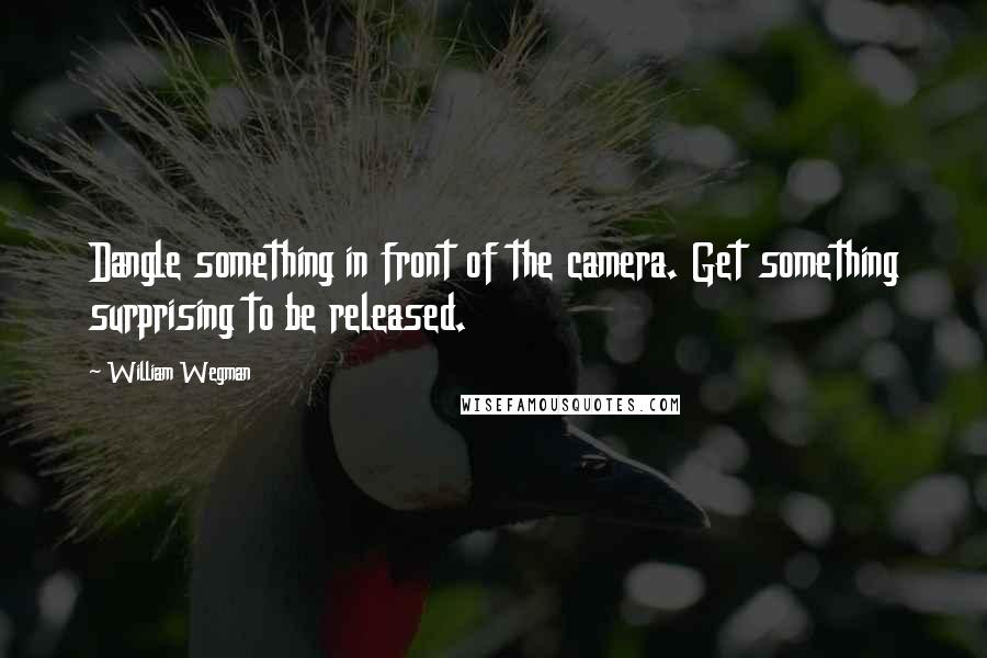 William Wegman Quotes: Dangle something in front of the camera. Get something surprising to be released.