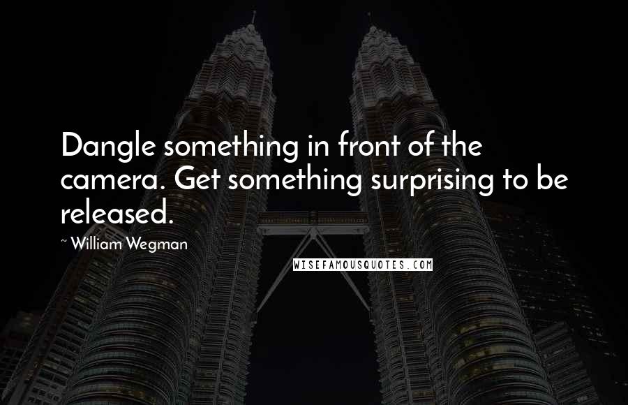 William Wegman Quotes: Dangle something in front of the camera. Get something surprising to be released.