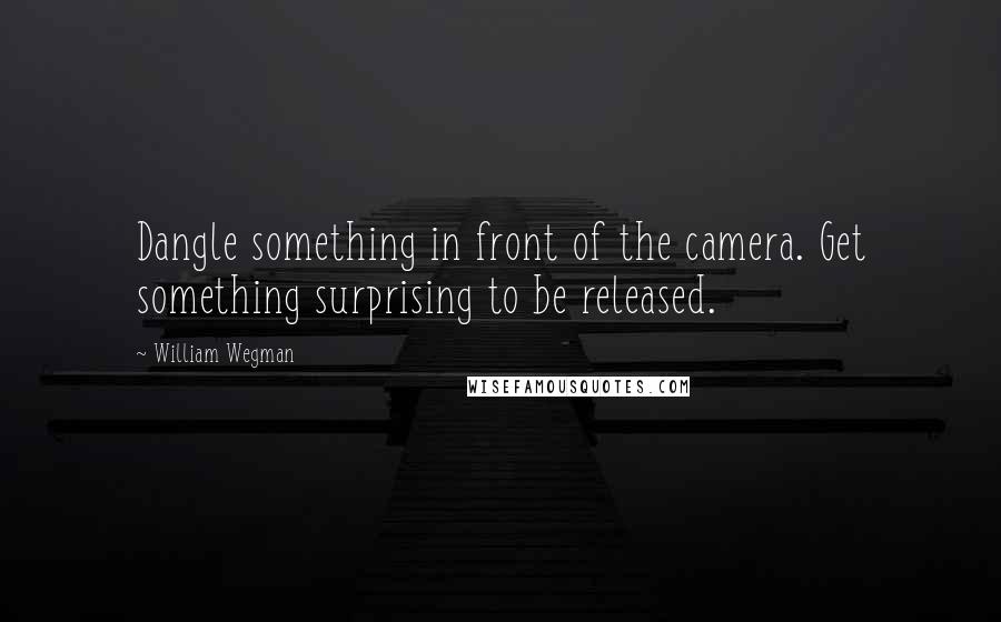 William Wegman Quotes: Dangle something in front of the camera. Get something surprising to be released.