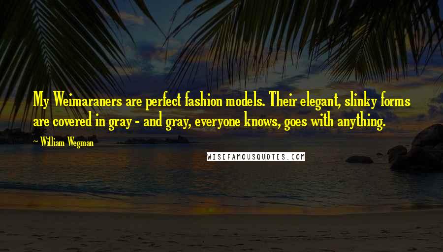 William Wegman Quotes: My Weimaraners are perfect fashion models. Their elegant, slinky forms are covered in gray - and gray, everyone knows, goes with anything.