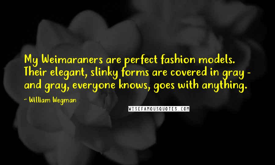 William Wegman Quotes: My Weimaraners are perfect fashion models. Their elegant, slinky forms are covered in gray - and gray, everyone knows, goes with anything.