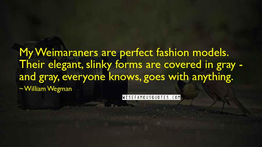 William Wegman Quotes: My Weimaraners are perfect fashion models. Their elegant, slinky forms are covered in gray - and gray, everyone knows, goes with anything.
