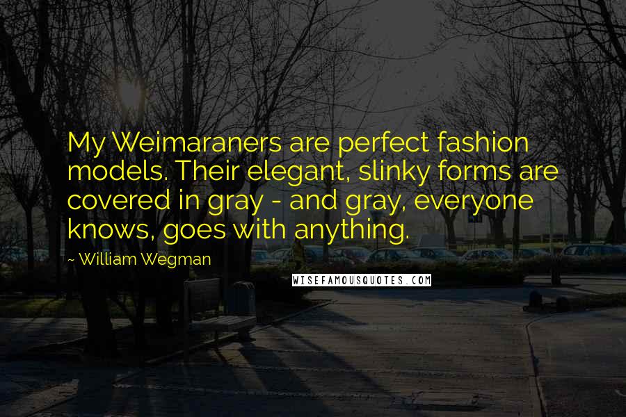 William Wegman Quotes: My Weimaraners are perfect fashion models. Their elegant, slinky forms are covered in gray - and gray, everyone knows, goes with anything.