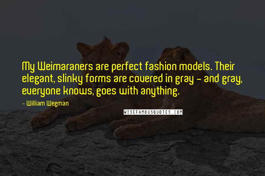 William Wegman Quotes: My Weimaraners are perfect fashion models. Their elegant, slinky forms are covered in gray - and gray, everyone knows, goes with anything.